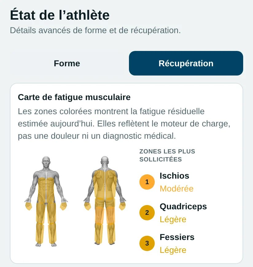 Coach Endurance : carte de fatigue musculaire, ischios, quadriceps et fessiers les plus sollicités